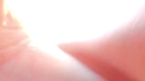 33830