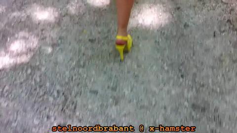 40462