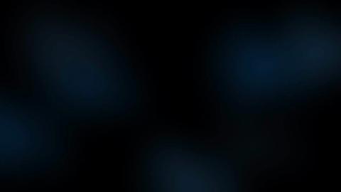 2982