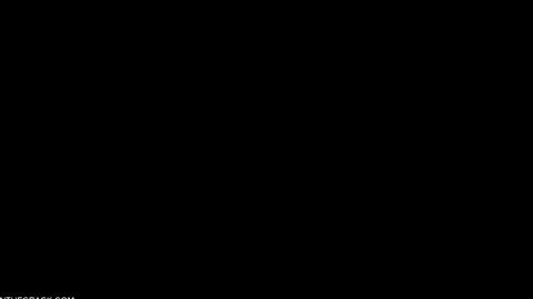33304